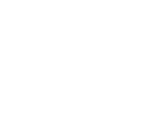 blondies